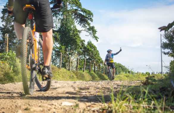 percorsi bici milano