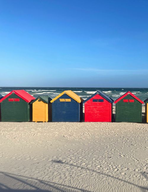Cosa vedere fuori Cape Town?