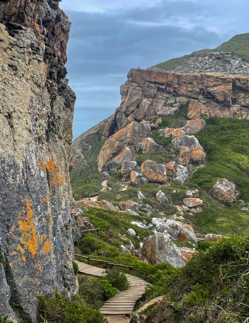 Sudafrica cosa vedere