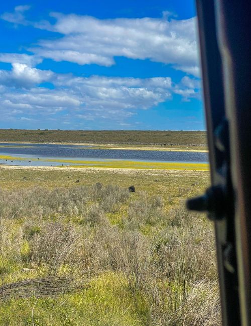 sudafrica cape agulhas
