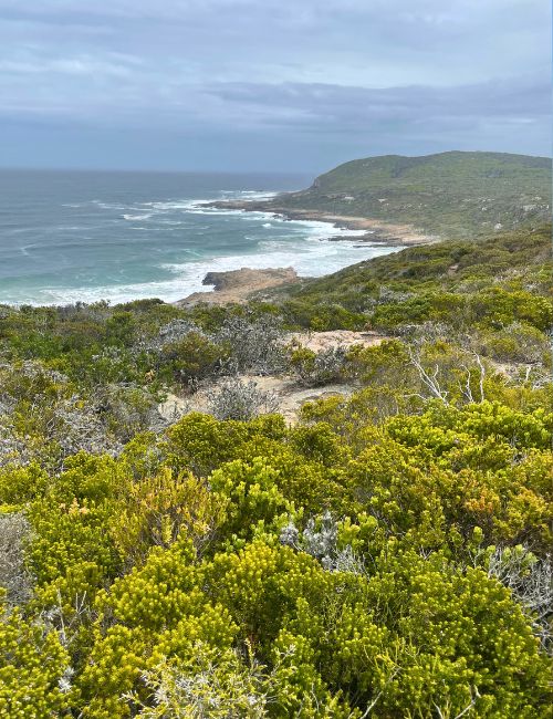 Sudafrica cosa vedere