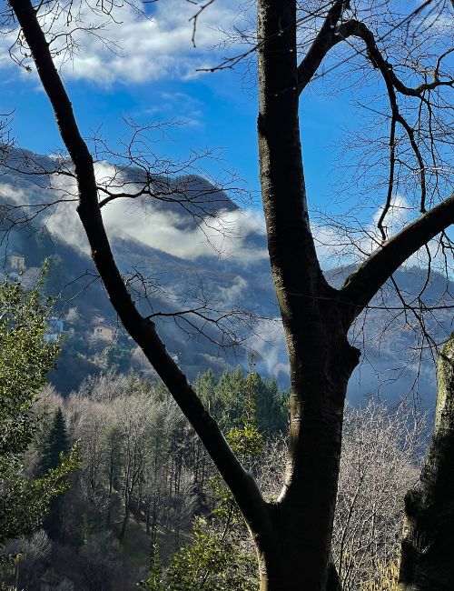 trekking lago di como