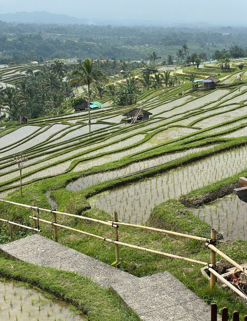 Viaggio indonesia