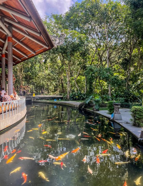 bali cosa vedere