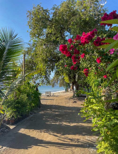 isole gili